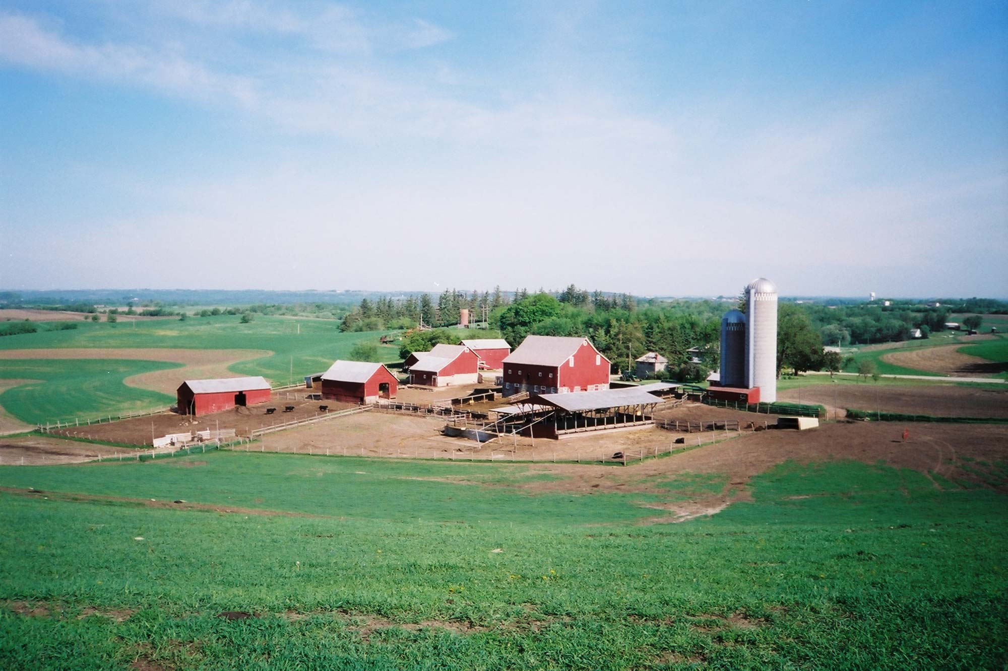 Overlooking Sunnyslope Angus