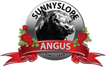 Sunnyslope Angus